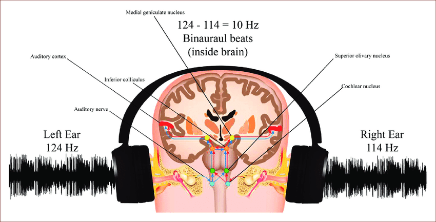 Binaural